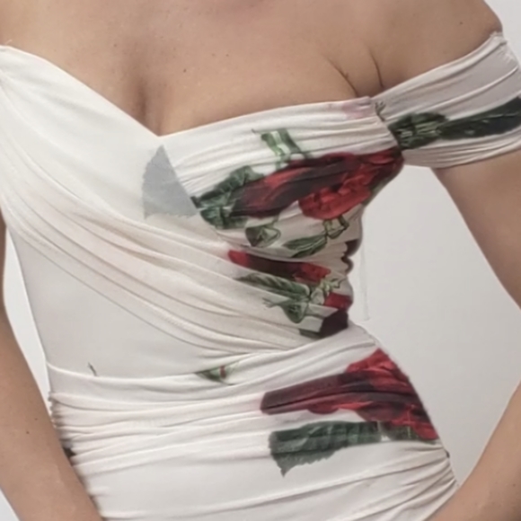 Los Angeles sample naked sheer dress roses w liner xs - Picture 4 of 6